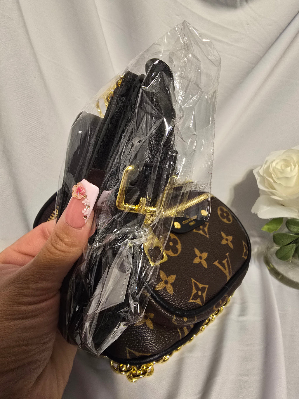 Lv Bum bag 🎒