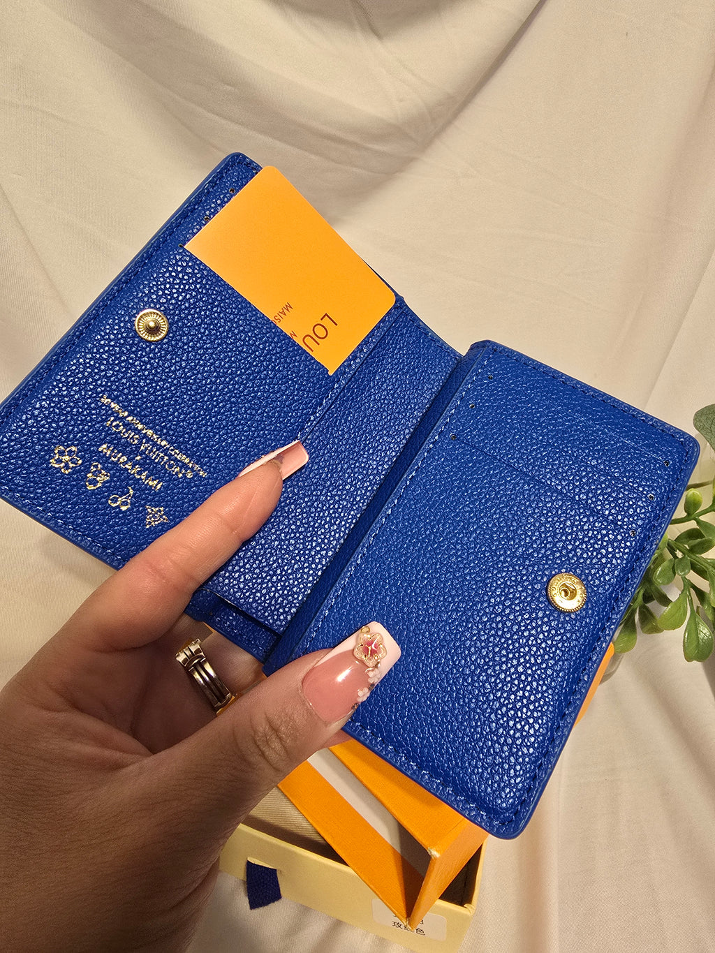 Bluey LV wallet